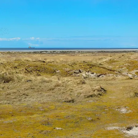 4 Person In Feriehus Fanø